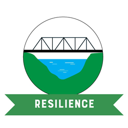 resilience icon