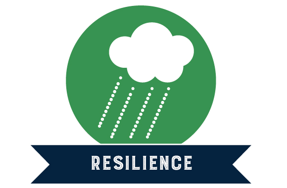 stateelectionresiliance 580