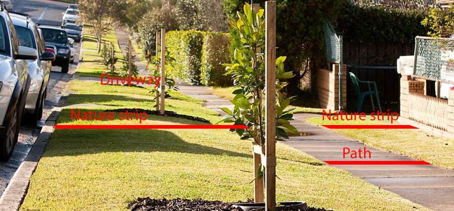 nature strip diagram