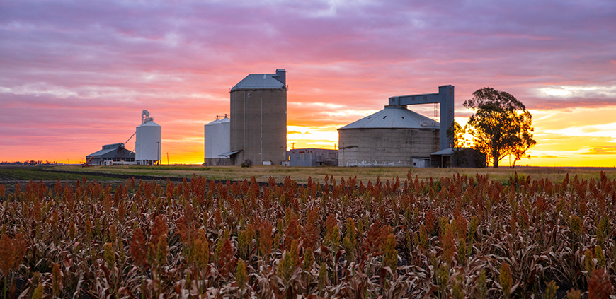 Cecil Plains silo's