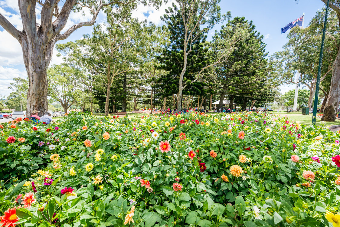Flowers and flagpole