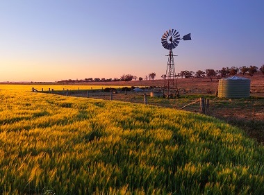 Meringandan rural landscape, windmill in background
