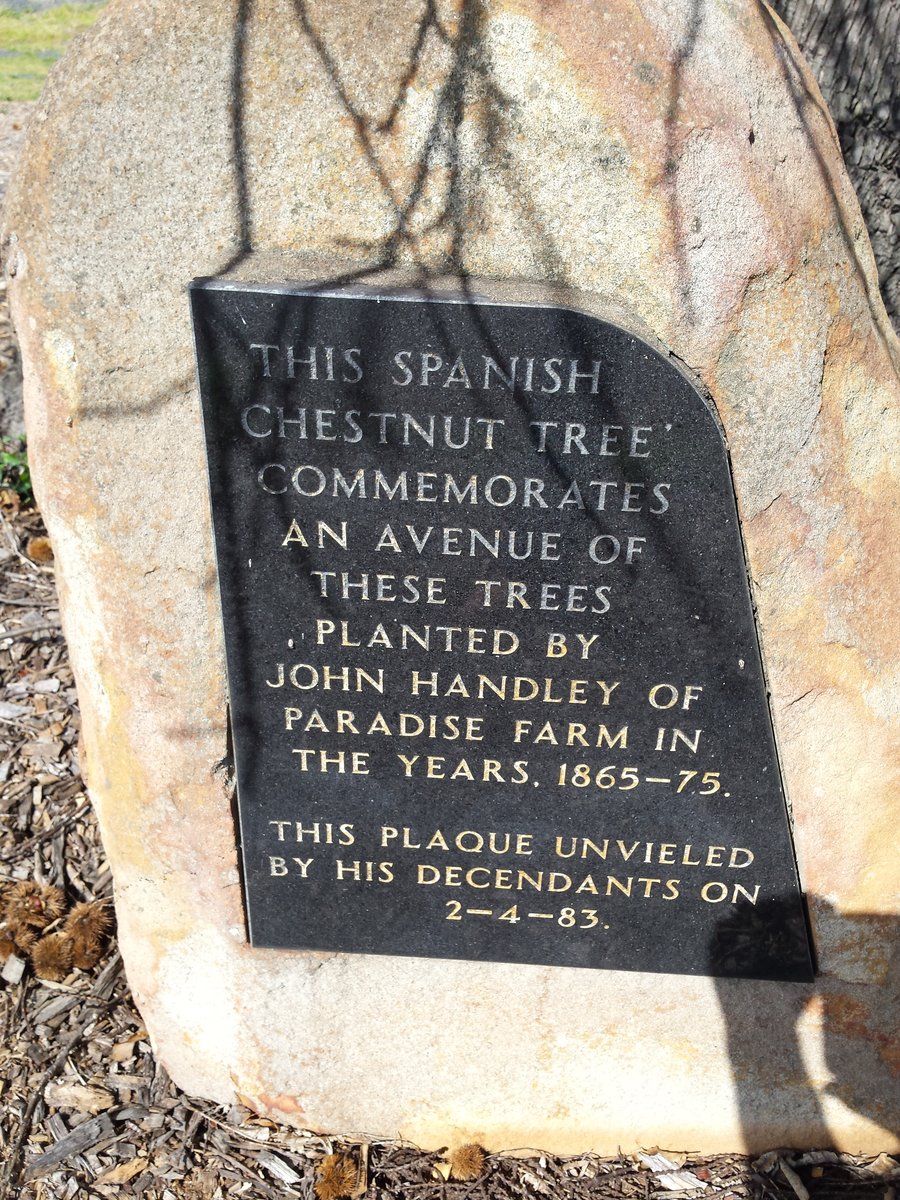 handley chestnut tree plaque