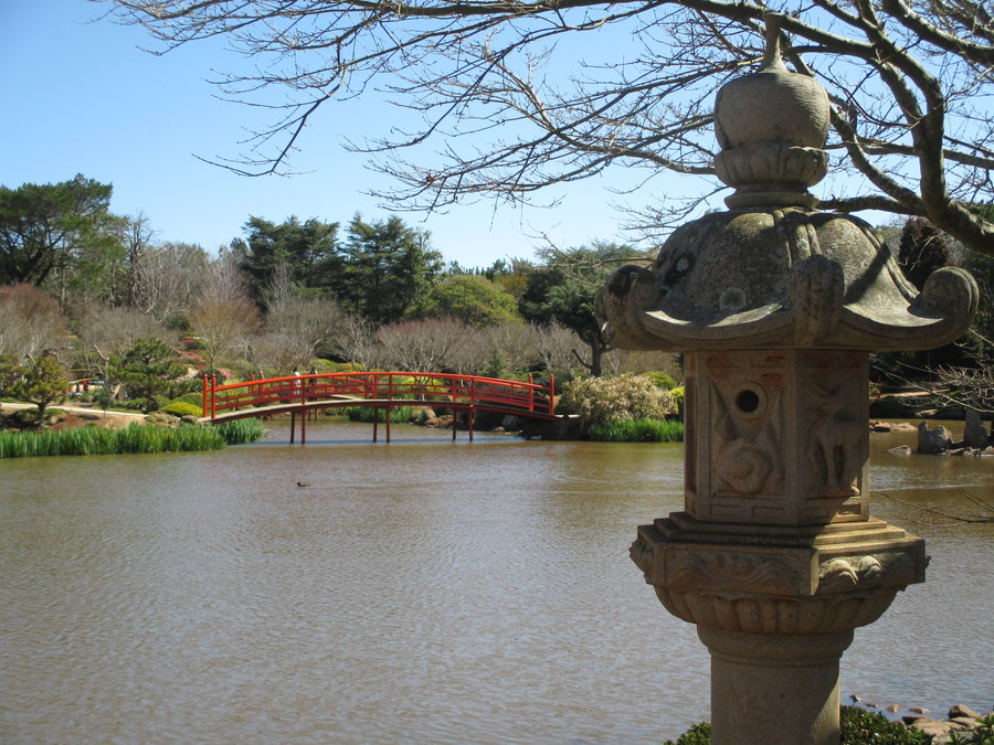 Photo overlooking the lake at Japanese Gardens. Orange japanese-style curved bridge in the distance.