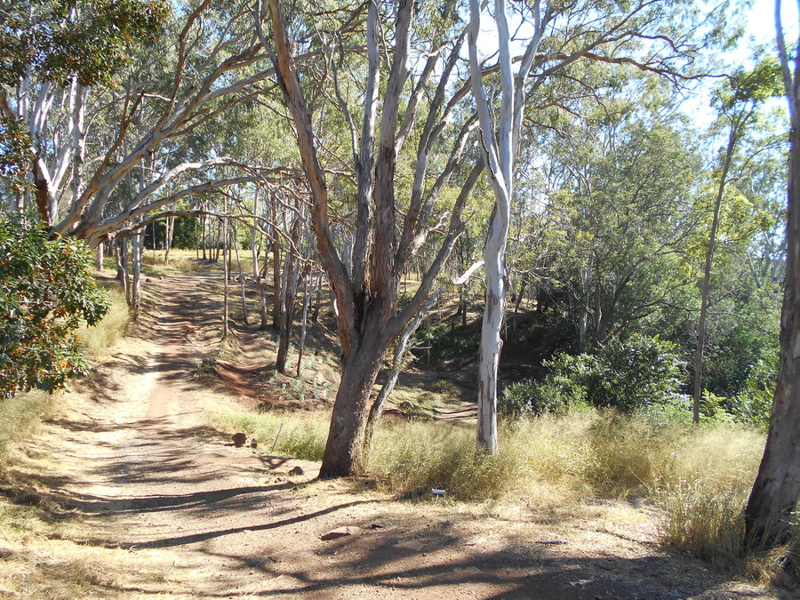 Jubilee park trail