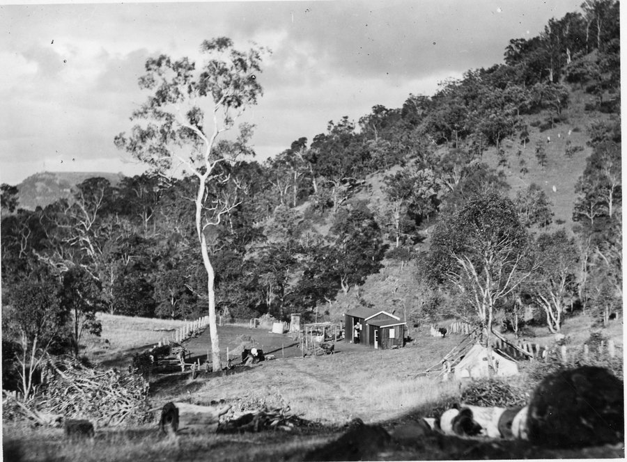 Black and white photo of Eagles nest camp in redwood park