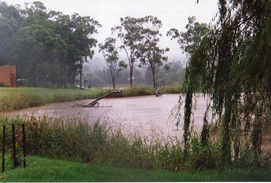 Photo of the Waterbird habitat in 1995. Overlooking the lake on a misty Toowoomba day.