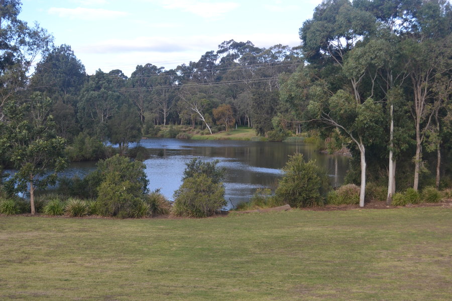 Photo of the Murray Clewett wetlands