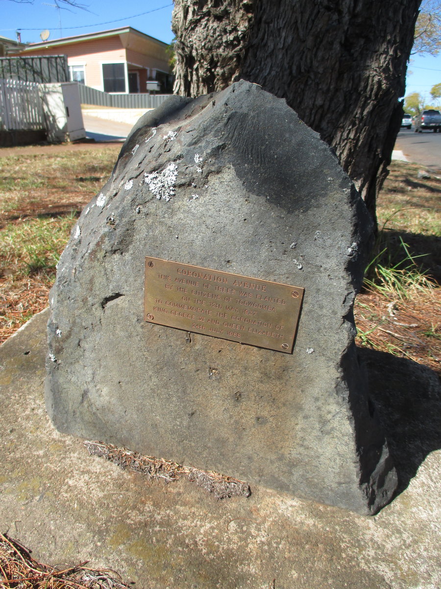 Coronation avenue plaque on stone under a Jacaranda tree.