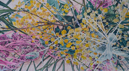 christineboughenwattleweb