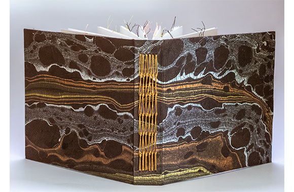 elizabrthschmidtsquareweb