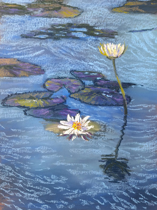 janehoffmannwaterlilyweb