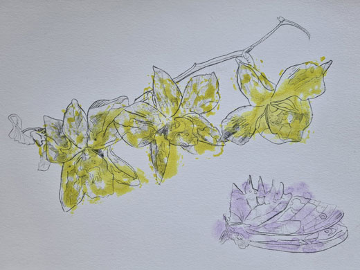 jessmillicentprintweb