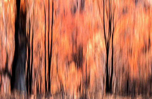 judihighfieldsphoto3web