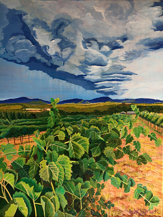 lindaclutterbuckbelleview2024web