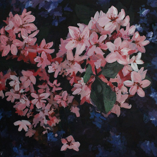 samwaltoncherryblossom2025web