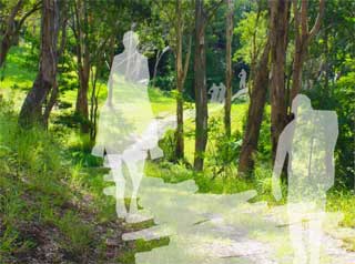 Trails Network Strategy image