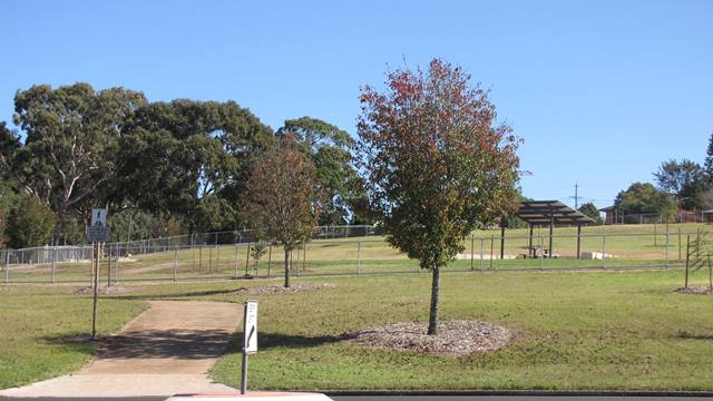 clearviewstreetdogoffleashpark