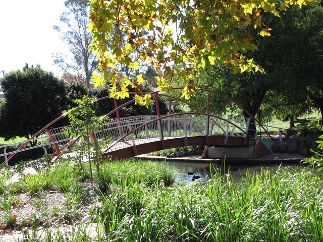 lakeannandbridgepondandducks