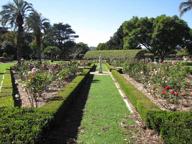 laurelbankparkrosegarden