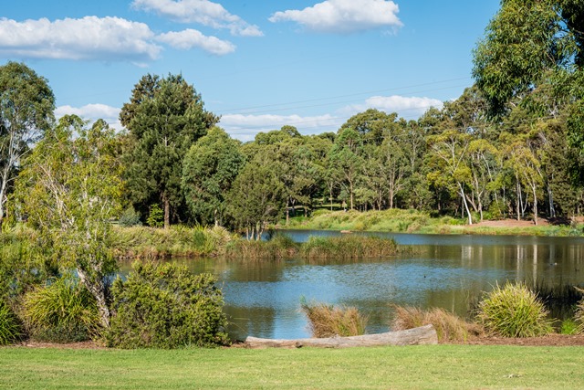 murrayclewettpondandtrees