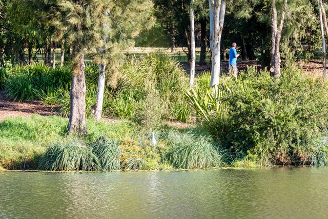 murrayclewettpondandwalkingtrack