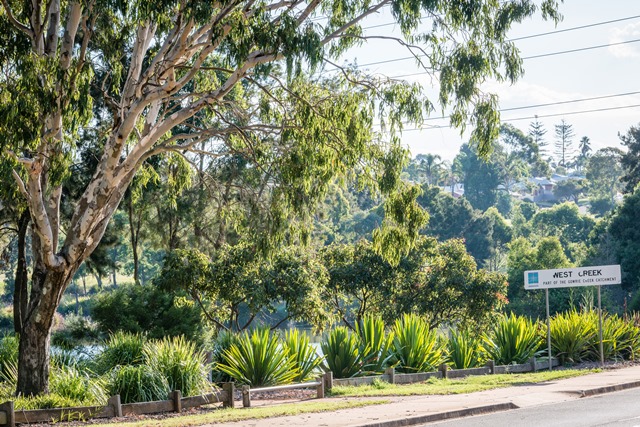 murrayclewettvegetationandsign