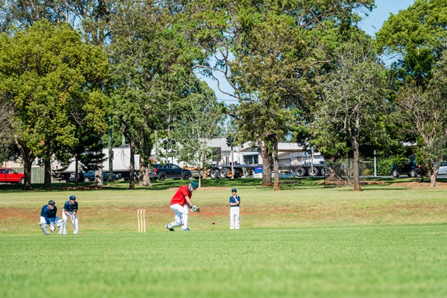 newtownparkcricketpitch