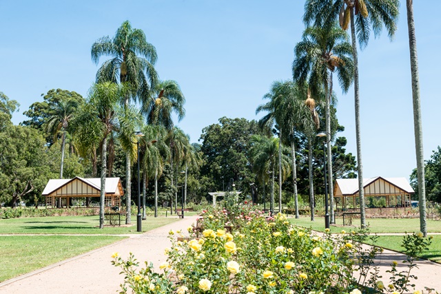 newtownparkroseavenuepalmtrees