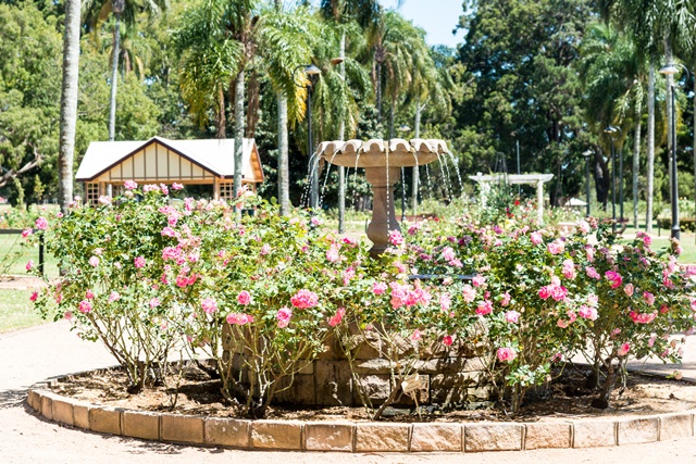 newtownparkrosegardenandwaterfountain