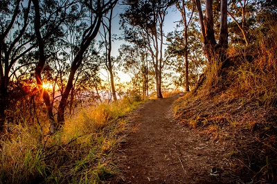 Dirt trail at Picnic Point with sun rising over the escarpment.