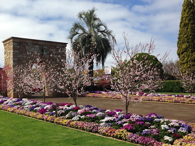 Queens Park botanic gardens stone archway and path lined with purple and white flowers.
