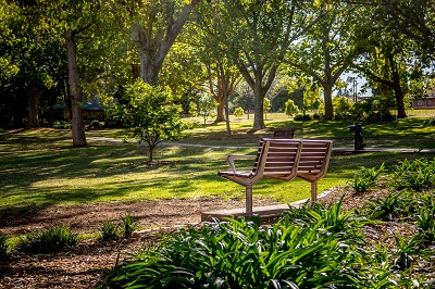 Wooden bench seat shaded by the canopy of large trees in the Queens Park off lease dog area