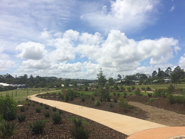 wilsontonheightsparknativeplantings