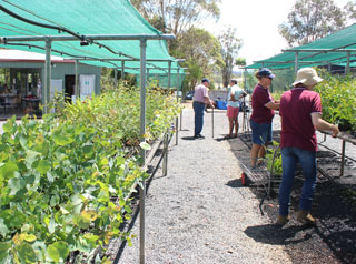 Staff members at Crows Nest Community Nursery
