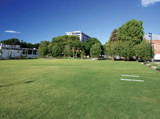 Toowoomba Civic Square grass on sunny day