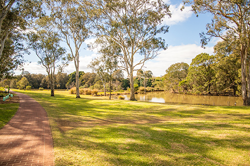 Toowoomba Waterbird Habitat1
