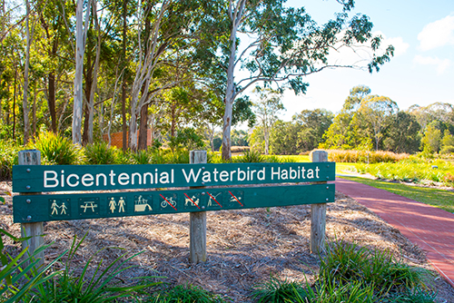 Toowoomba Waterbird Habitat2