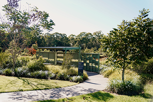 Toowoomba Waterbird Habitat3
