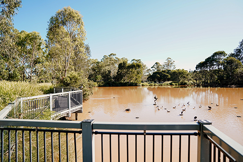 Toowoomba Waterbird Habitat4